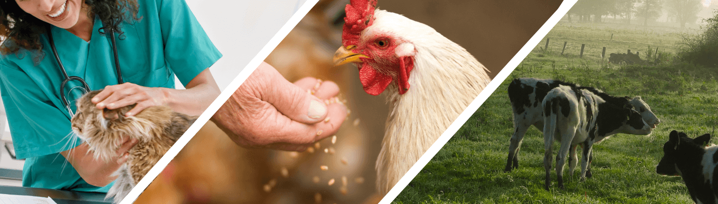 EuroTier Header Bild