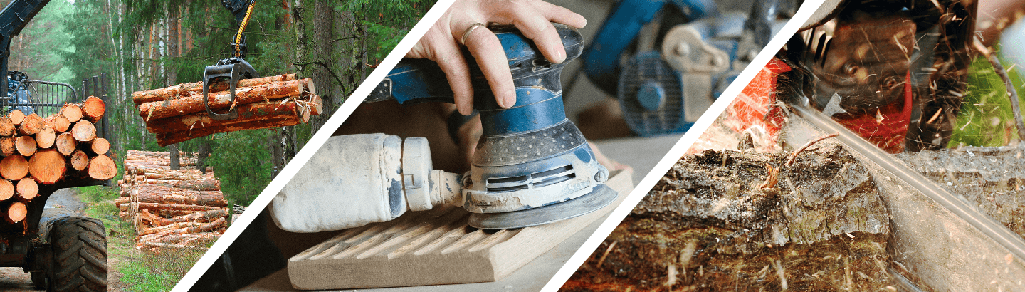 Ligna Header Bild